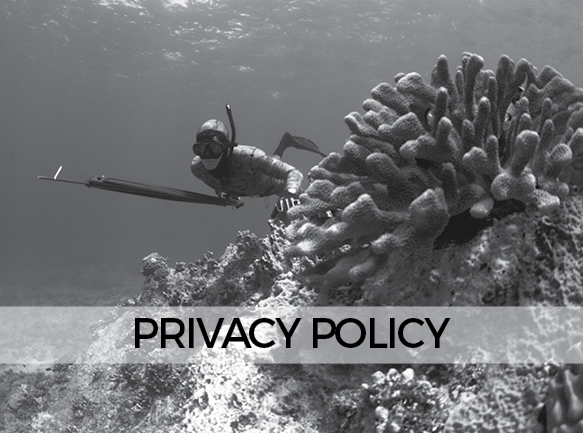 LANDING PRIVACY POLICY